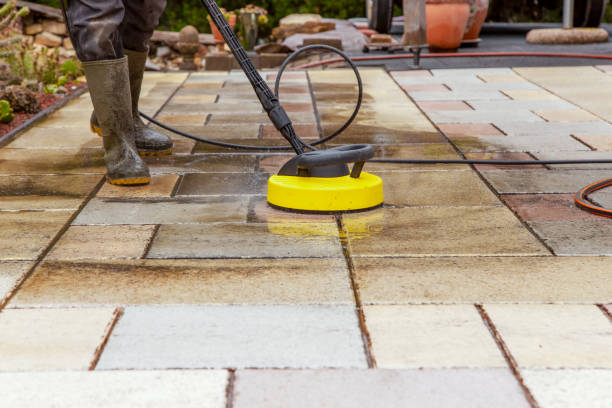 Best Animal Enclosure Cleaning  in Odenton, MD